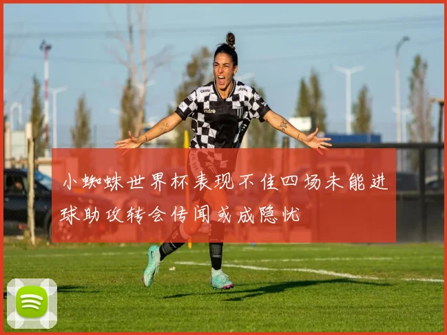 小蜘蛛世界杯表现不佳四场未能进球助攻转会传闻或成隐忧