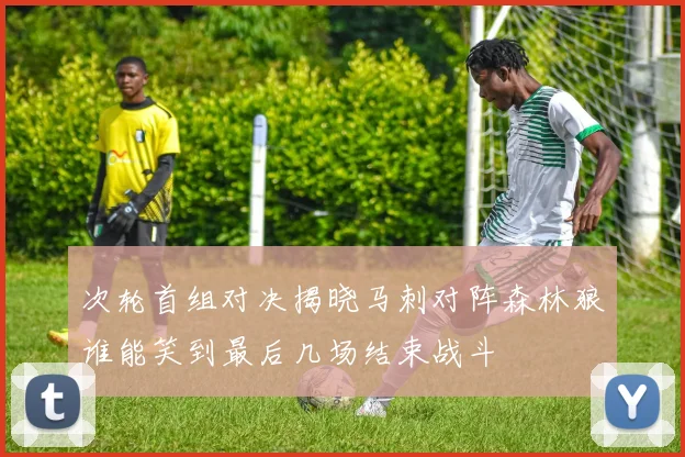 次轮首组对决揭晓马刺对阵森林狼谁能笑到最后几场结束战斗